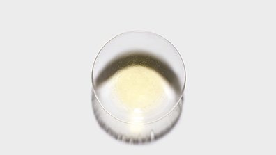 Proper Use of Hair Oil Article 02 Kérastase